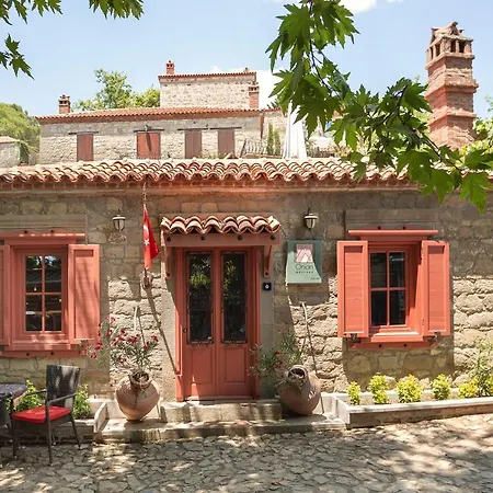 Orion * Adatepe (Ayvacik)