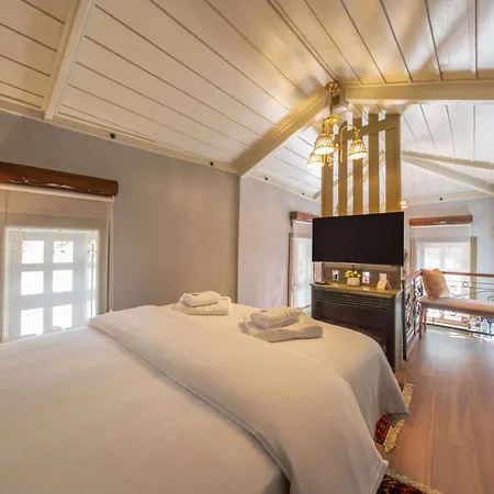 Villa Orion Adatepe
